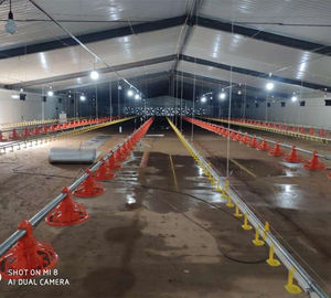 Kiểm Soát Đổ Gia Cầm Farming Pakistan/Kiểm Soát Đổ Gia Cầm Trong Pakistan - Product Image 4