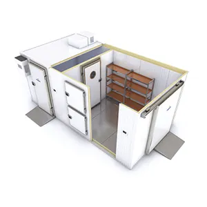 Chambre froide unité de réfrigération chambre froide pour machine de maturation de la banane chambre froide stockage
