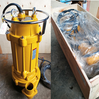 Pompe à eaux usées submersible en fonte de drainage agricole non colmatante 30HP 3 phases électrique