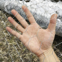 Grillage hexagonal en fer galvanisé à petits trous, clôture de ferme, cages, soudé, tissé, traité par pliage, revêtu de PVC