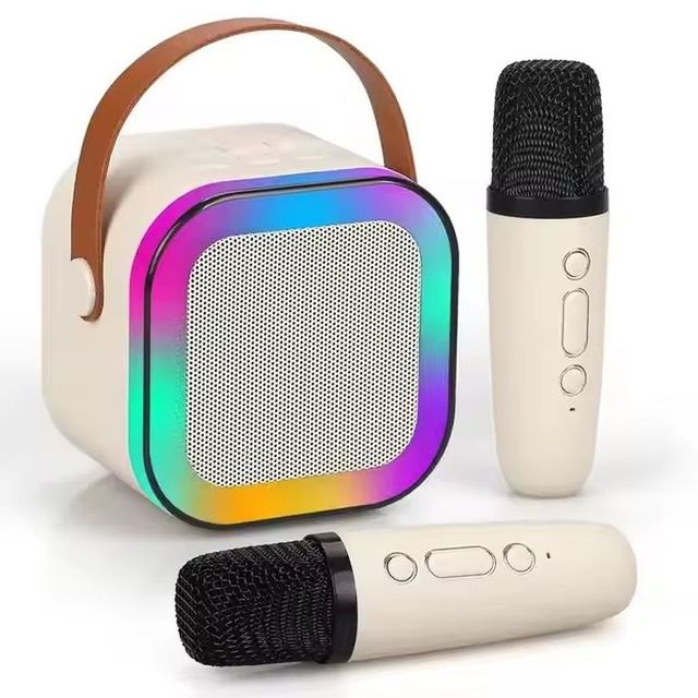 Professional Mini RGB LED BT Speaker for KTV Home Party Portable Wireless with Waterproof Microphones DC Magnetic Included