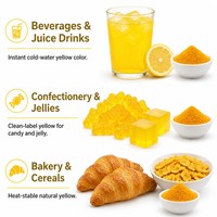 CHBIO Factory Bulk Herbal Extract Lutein 5% CWS Powder HPLC Tagetes Erecta Marigold E161b Natural Yellow Beverage Candy Bakery