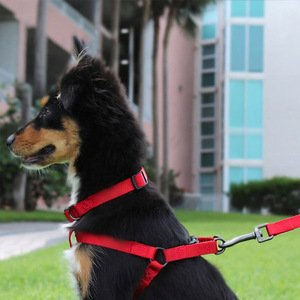 ชุดสายรัดสุนัขแบบสวม Solid Fashion - ปรับได้ ไม่รัดคอ พร้อมแผ่นรองรับ ระบายอากาศได้ดี สำหรับลูกสุนัขถึงสุนัขสูงวัย ปลอดภัยและสวมใส่สบาย - Product Image 3