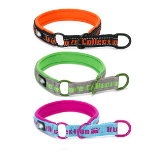<span class=keywords><strong>Collare</strong></span> da addestramento in Nylon in neoprene per animali domestici Semi mezzo choke P catena resistente cani - Product Image 1