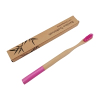 Ensemble de brosses à dents en bambou naturel poils souples charbon de bois blanchiment des dents soins bucco-dentaires aide dentaire usage domestique