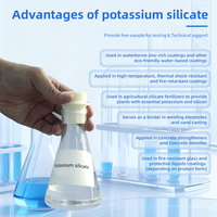 Silicato de Potasio, Endurecedor de Concreto, Densificador de Concreto, Autosecante, CAS 1312-76-1