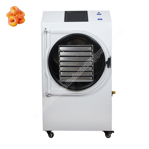 Lyophilisateur de viande FD-<span class=keywords><strong>10</strong></span> <span class=keywords><strong>kg</strong></span> avec <span class=keywords><strong>pompe</strong></span> à vide - Product Image 5