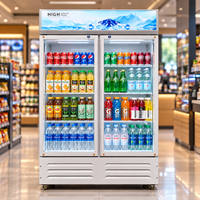 Réfrigérateur Vitrine à Porte Vitrée pour Boissons, Dégivrage Manuel, Classe Énergétique 1 Étoile, Garantie Complète