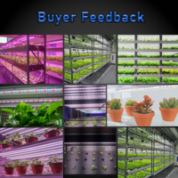 Kasplant COB 120-140 µmol/m²/s Bloei Roze Wit Blauw Volspectrum LED Kweeklamp