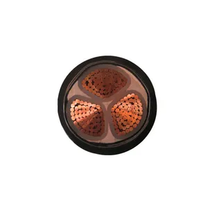 Multiple Copper Core Medium Voltage Crosslinking Power Cable High Conductivity PE Insulated PVC Jacket Safe Electrical Wire