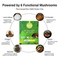 AMULYN Complexe de 6 Champignons Biologiques, Poudre de Matcha Latte Instantané, Mélange de Thé Vert avec Lait d'Avoine, Soutien Concentration & Calme, Sachet 5g