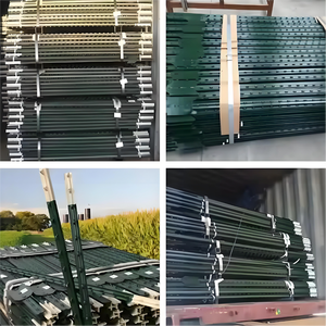 Ventes directes d'usine de <span class=keywords><strong>poteau</strong></span> en T de peinture verte de 6 pieds <span class=keywords><strong>poteau</strong></span> en T de clôture galvanisé pour fermes et jardins - Product Image 4