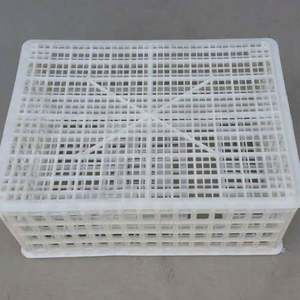 Sıcak satış en ucuz hayvan kafesleri saf plastik canlı kuşlar tavuk çiftliği için tavuk taşıma kasaları - Product Image 6