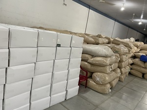 Nueces de Anacardo Crudas Orgánicas de Primera Calidad de Vietnam, Todas Calibradas W180/W240/W320/W450/WS/LP +84 35 254 2206 - Product Image 4