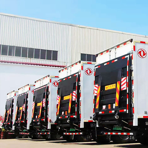 Puerta Trasera de Acero de Alta Resistencia con Cilindro Hidráulico para Camiones y Furgonetas - Plataforma de Carga/Descarga - Product Image 3