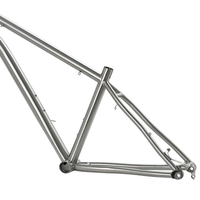 Cadres de vélo de gros pneu de Ti-3Al-2.5V de titane de la chine pour la route/vtt utilisant