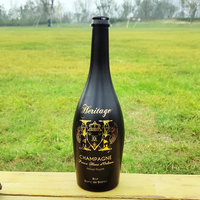 Bouteilles de champagne RSG en gros, dorées, imprimées, vides, 375 ml, 187 ml, 500 ml, givrées, noires mates, dorées, 700 ml, gonflables, 750 ml, colorées