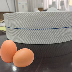 Polypropyleen Ei Transportband 10X20Cm Voor Legkippen Boerderijen Automatische Opvanggordel Fabriek Direct - Product Image 2