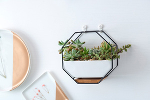 <span class=keywords><strong>Maceta</strong></span> Moderna de Pared de 6.89 Pulgadas, Tipo Contenedor, Independiente, para Suculentas, Florero Geométrico <span class=keywords><strong>Octagonal</strong></span> para Cactus y Flores - Product Image 6