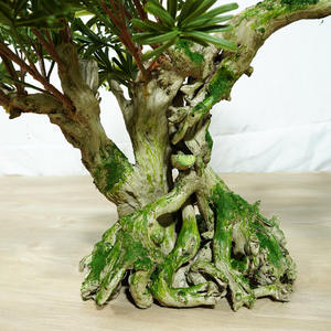 Materiale plastico e radici con muschio 80 centimetri alt bonsai di pino naturale macetas para bonsai baratas giapponese bonsai - Product Image 2