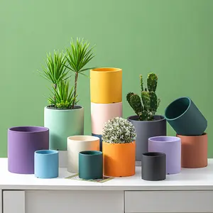 Hot Selling Nordic Style Ceramic Cylinder Flower Planter Colorful Home Garden Flowerpot In White Black Yellow Blue Floor Use
