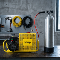 Compresseur d'air électrique DIDEEP écologique et léger, 4500 PSI, en acier inoxydable, portable et réglable, pour bouteille de plongée PCP