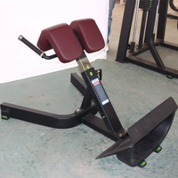 Chaise romaine de haute qualité avec extension de dossier Chaise romaine commerciale avec banc d'extension de dossier à 45 degrés