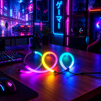 Bande lumineuse LED RGBIC USB 5V de haute qualité pour moniteur PC de bureau 24-34 pouces 5050 60 LED/m Rétroéclairage de jeu avec contrôleur de synchronisation