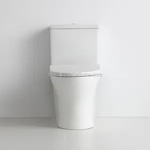 Bathroom Design Brilliant Siphon 2 Piece Toilet Wc Commode
