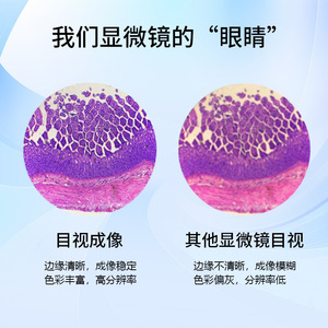 กล้องจุลทรรศน์พีม XSP-BM-2CA กำลังขยาย 1000 เท่า หลอดฮาโลเจน แบบพกพา สำหรับดูแบคทีเรียระดับมืออาชีพ - Product Image 3