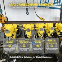 Nouvelle grue à chaîne pneumatique APAX CRANE 220V, capacité de levage de 5 tonnes, protection IP65, télécommande pour utilisation en atelier
