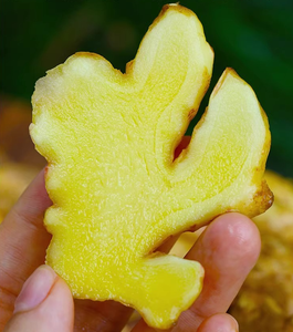 Giá Rẻ Giá Gừng Tươi Bán Buôn Trung Quốc Chất Lượng Cao Gừng Tươi Nhà Cung Cấp Với Số Lượng Lớn - Product Image 3