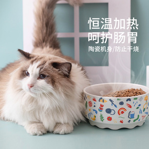 Bol en céramique chauffant pour chat avec design isolant pour nourrir à l'eau et à la nourriture chaude - Product Image 1