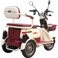 Tricycle Électrique Familial en Gros, Autonomie 70 km, Batterie Plomb-Acide 60V32AH, Moteur 1000W, Vélo Électrique Adulte, Scooter Tricycle à 3 Roues
