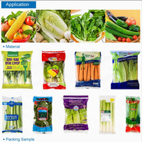 Machine d'emballage automatique Flow Pack pour salades, choux, fruits et légumes surgelés en barquette