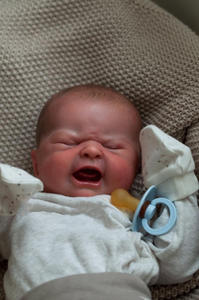 Adorable poupée de 20 pouces grandeur nature avec expression de pleurs, matériau de haute qualité, design câlin et câlin pour les garçons - Product Image 2