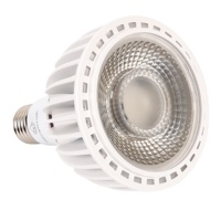 Aluminium finition noire 15/24/36/60 degrés CRI98 3000K 6000K E27/E26 à spectre complet Par30 ampoule LED 30 watts