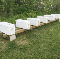Recycelbare Faltbare Polypropylen-Wellpappe Lebensmittelgeeignete Zucker-Aufbewahrungsboxen Bienenstock-Boxen