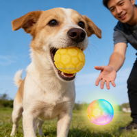Balles rebondissantes pour chien avec éclairage LED interactif, rechargeables par USB, en caoutchouc naturel, jouet lumineux pour chien