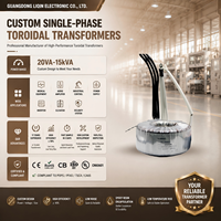 Amplificateur de transformateur toroïdal monophasé, entrée 220V, sortie 12V, 50/60Hz, enroulement en cuivre, transformateur électronique, sortie audio