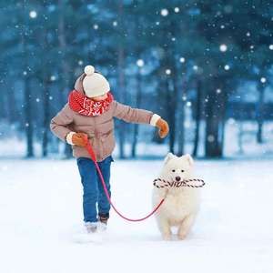 Mainan Natal Tali Anjing Stoking Natal Set Hadiah Natal Tali Simpul Chew Ahan Mainan untuk Anjing Sedang dan Besar Gigi Bersih - Product Image 5