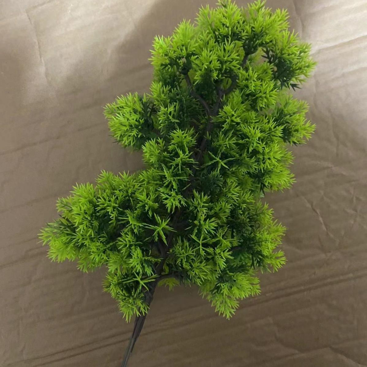 Tuya de 29 pedidos verde bosque