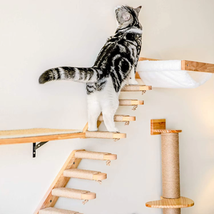 Struttura per Arrampicata per Gatti da Parete con Scala a Quattro Gradini Rivestita in Corde di Canapa, Arredo per Animali Domestici Adatto per Gatti - Product Image 4