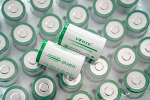 FORTE ER34615 3.6V 19000mAh 리튬-SOCL2 원통형 1차 리튬 배터리 (IoT 전기 계량기, 장난감용, 10년 보관 수명) - Product Image 5