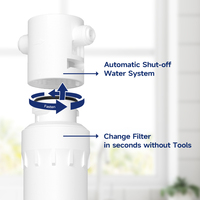 Élément filtrant à charbon actif à connexion rapide de 10 pouces pour usage domestique et en camping-car avec filtres pré- et post-charbon