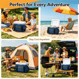 Portable 12V DC Thermoelectric Cooler Bag 23L Foldable Movable Heavy-Duty Jacquard Fabric Eco-Friendly Outdoor Food <b>Cooling</b> Soft - Product Image 6
