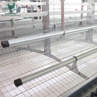 Cages à poules pondeuses en H conformes aux normes européennes, enrichies en espace, avec perchoirs autonettoyants et bande de retrait du fumier