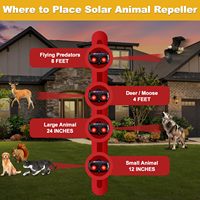 Répulsif solaire pour animaux de nuit haute étanchéité extérieur avec deux lumières rouges clignotantes pour dissuasion de renard de cochon sauvage