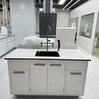 Mesa de Trabajo de Acero Personalizable para Laboratorio con Encimera de Resina Fenólica y Cajones para Taller