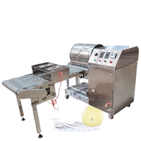 Machine automatique pour la fabrication de feuilles de rouleaux de printemps, de samosas, de rouleaux d'œufs et de crêpes pour usine de transformation de snacks
